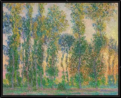 Тополя в Живерни