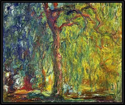 Плакучая ива