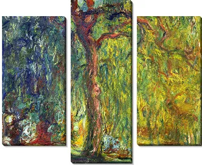 Плакучая ива