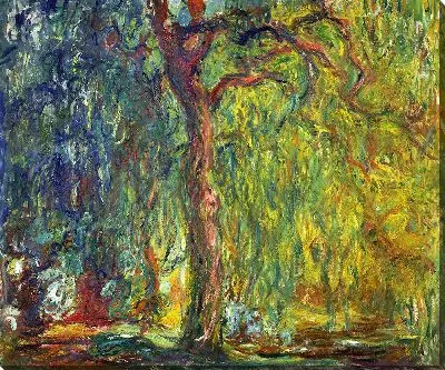 Плакучая ива