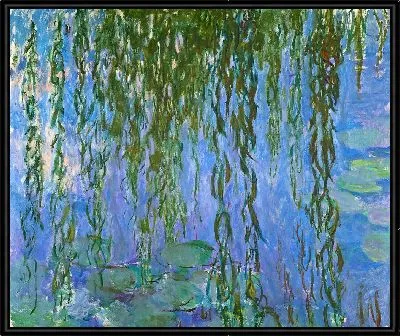 Водяные лилии и ветки ивы