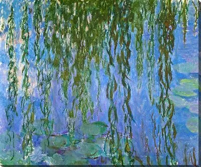 Водяные лилии и ветки ивы