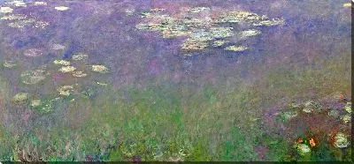 Картина Водяные лилии (Агапантус)