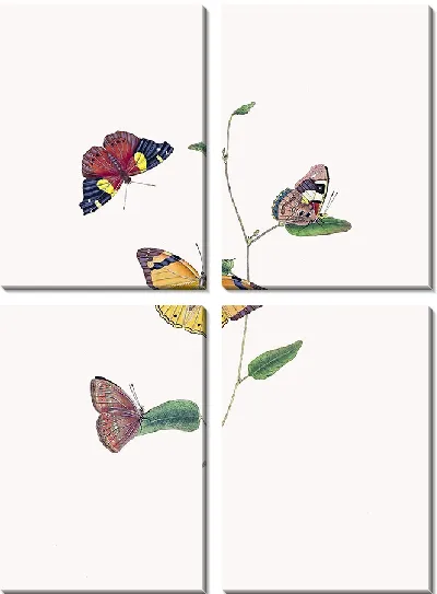 Картина Энтомология №1