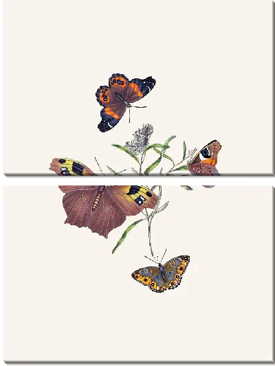 Картина Энтомология №2