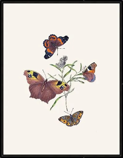 Картина Энтомология №2