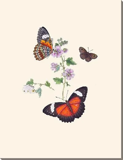 Картина Энтомология №3