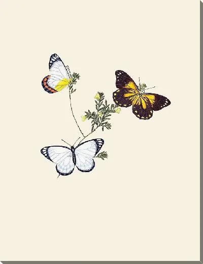 Картина Энтомология №6