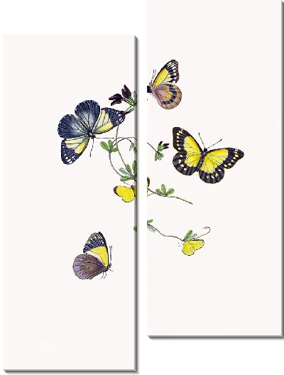 Картина Энтомология №7