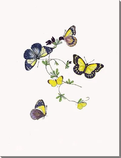 Картина Энтомология №7