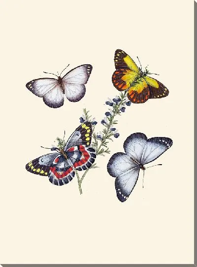 Картина Энтомология №9