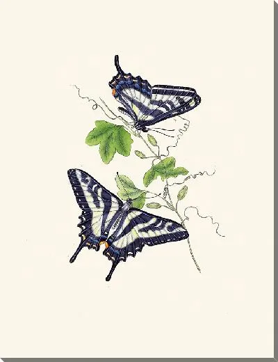 Картина Энтомология №11