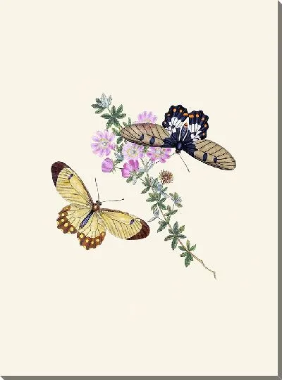 Картина Энтомология №15