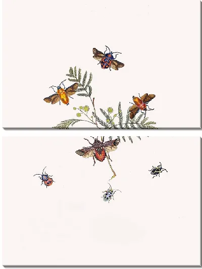 Картина Энтомология №16