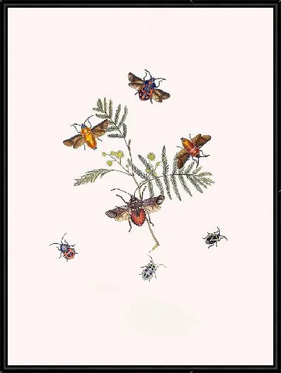 Картина Энтомология №16