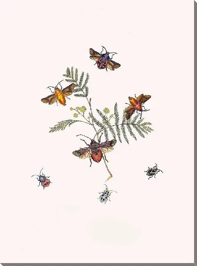 Картина Энтомология №16