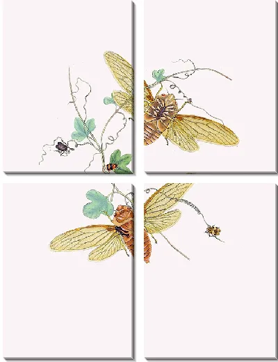 Картина Энтомология №17