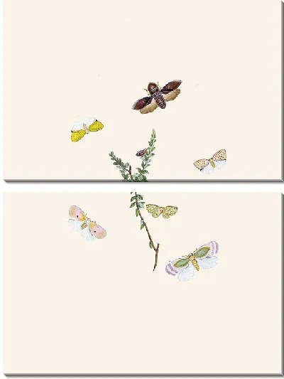 Картина Энтомология №18