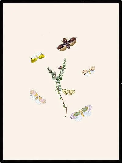 Картина Энтомология №18