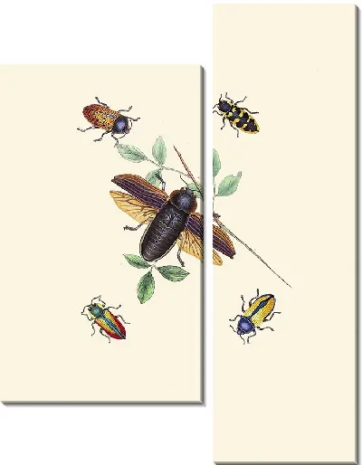 Картина Энтомология №19