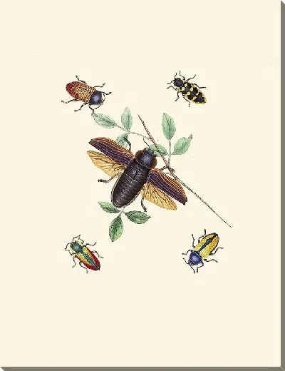 Картина Энтомология №19
