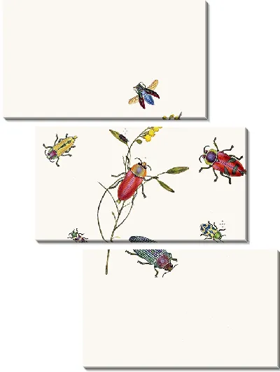 Картина Энтомология №20