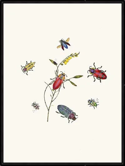 Картина Энтомология №20