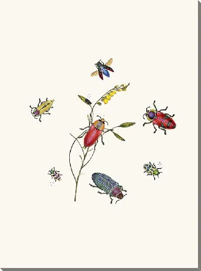 Картина Энтомология №20