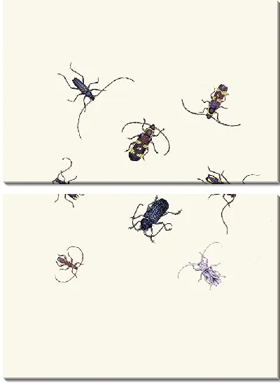 Картина Энтомология №21