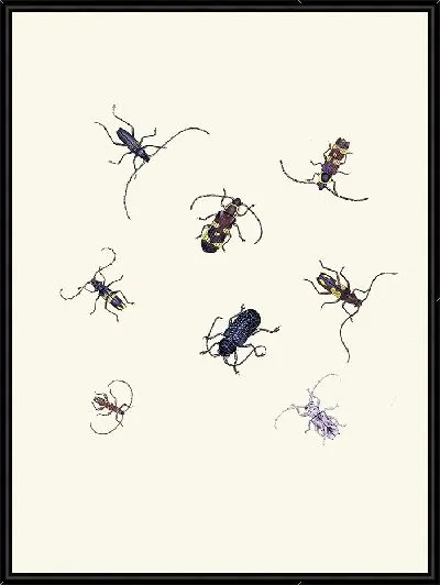 Картина Энтомология №21