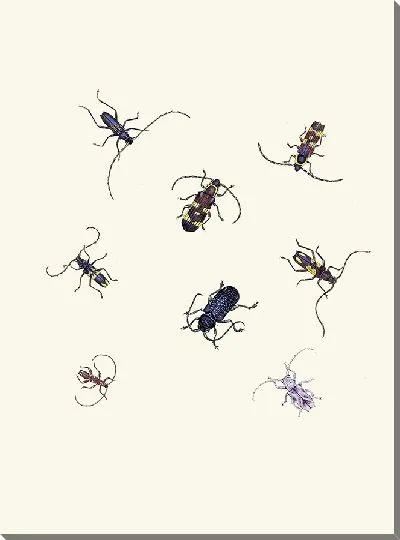 Картина Энтомология №21