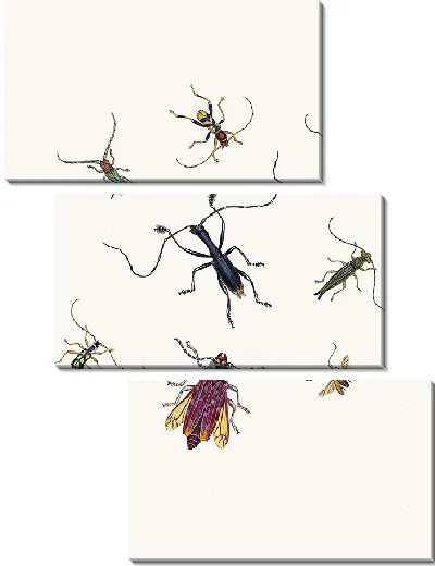 Картина Энтомология №22