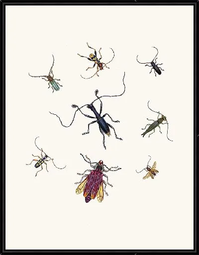 Картина Энтомология №22