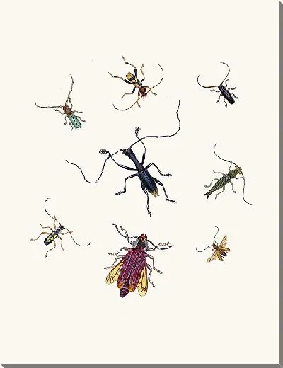 Картина Энтомология №22