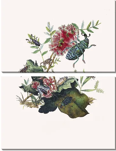 Картина Энтомология №23