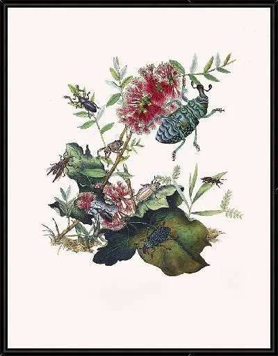 Картина Энтомология №23