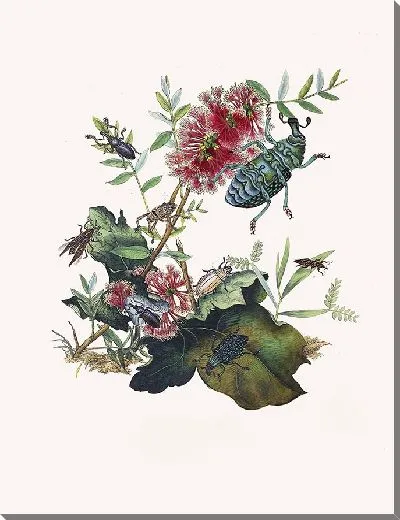 Картина Энтомология №23