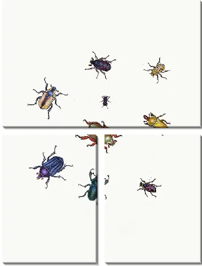 Картина Энтомология №25