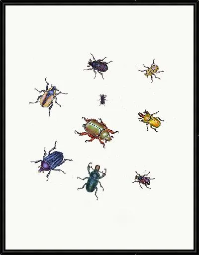 Картина Энтомология №25