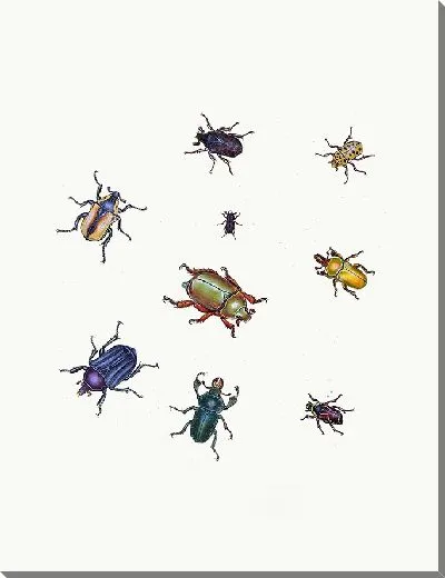 Картина Энтомология №25