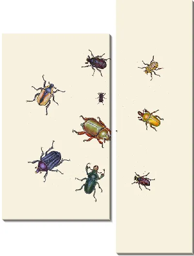 Картина Энтомология №26