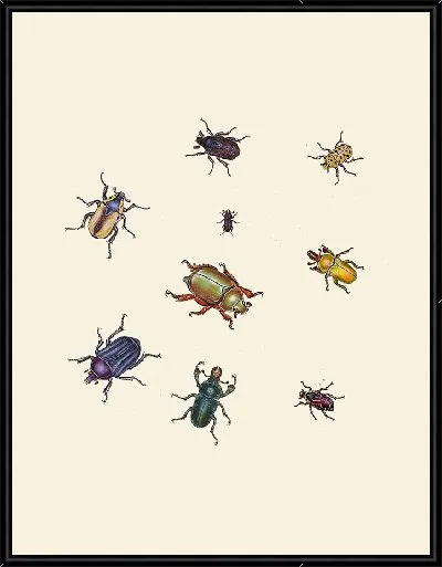 Картина Энтомология №26