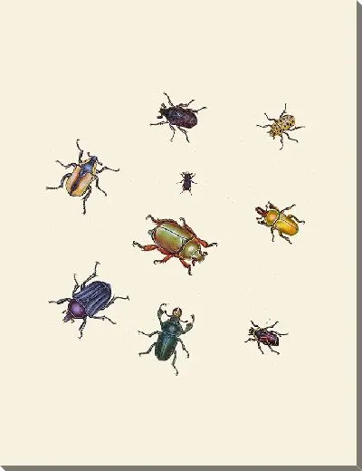 Картина Энтомология №26