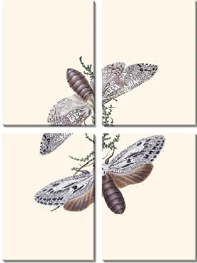 Картина Энтомология №30