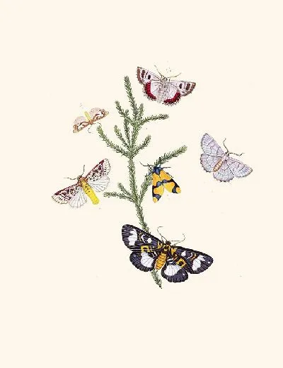 Картина Энтомология №31