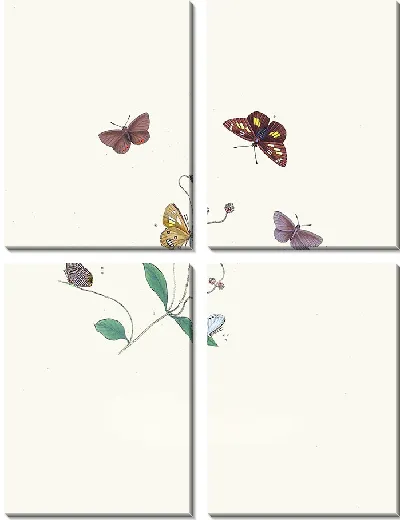 Картина Энтомология №36