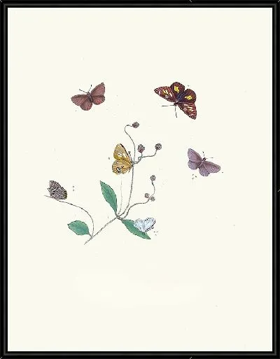 Картина Энтомология №36