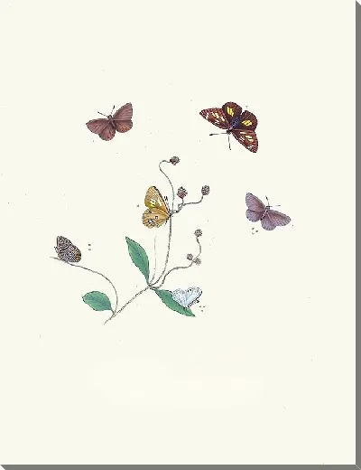 Картина Энтомология №36