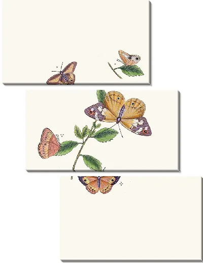 Картина Энтомология №39