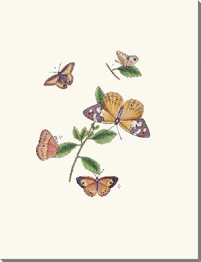 Картина Энтомология №39